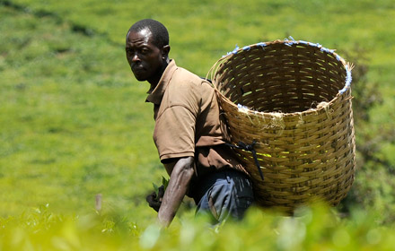a man carrying a basket in a field