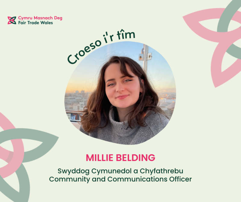 Image introduces a new team member to Fair Trade Wales' team with the company logo in the top left and the logo pattern in the background, which is a Dark green and pink celtic-like intertwined form on a cream coloured background. Photo in the middle is of Millie with a sunset in the background, she is a white female with brown hair. Text above the image reads 'croeso Millie' in dark green, with Millie's full name underneath in pink; Millie Belding and her job title; 'Swyddog Cymunedol a Chyfathrebu / Community and Communications Officer' in dark green.