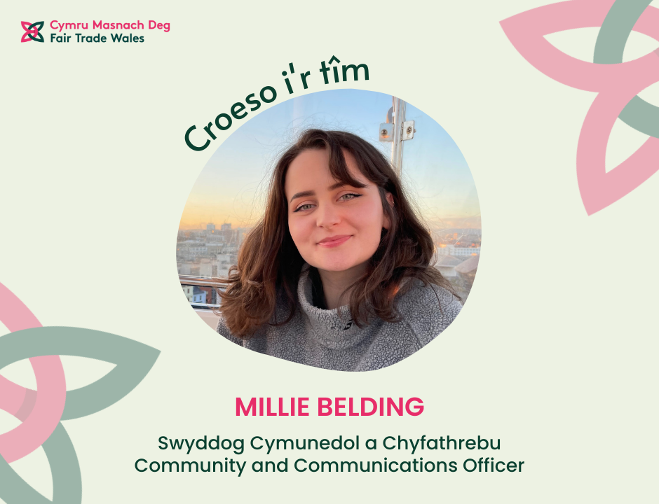 Image introduces a new team member to Fair Trade Wales' team with the company logo in the top left and the logo pattern in the background, which is a Dark green and pink celtic-like intertwined form on a cream coloured background. Photo in the middle is of Millie with a sunset in the background, she is a white female with brown hair. Text above the image reads 'croeso Millie' in dark green, with Millie's full name underneath in pink; Millie Belding and her job title; 'Swyddog Cymunedol a Chyfathrebu / Community and Communications Officer' in dark green.
