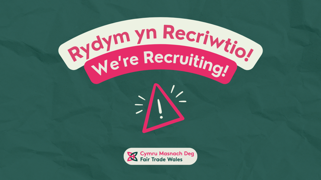 A dark green background with a crumpled paper texture. Text from top reads 'Rydym yn Recriwtio!' in pink writing on a cream background, 'We're Recruiting!' in cream writing on a pink background. Below is a exclamation mark inside a triangle with 6 lines surrounding the triangle. The Fair Trade Wales / Cymru Masnach Deg emblem is below, which is a celtic style icon.